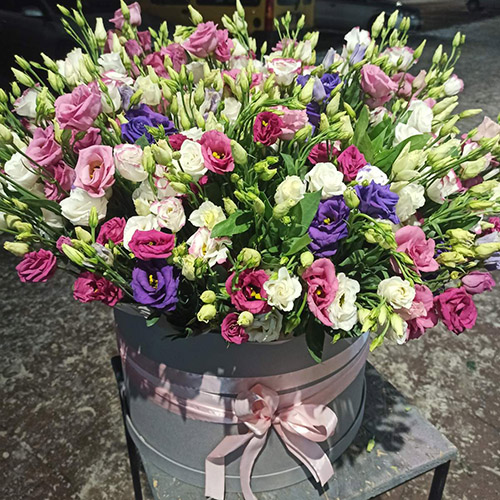 101 эустома в шляпной коробке фото