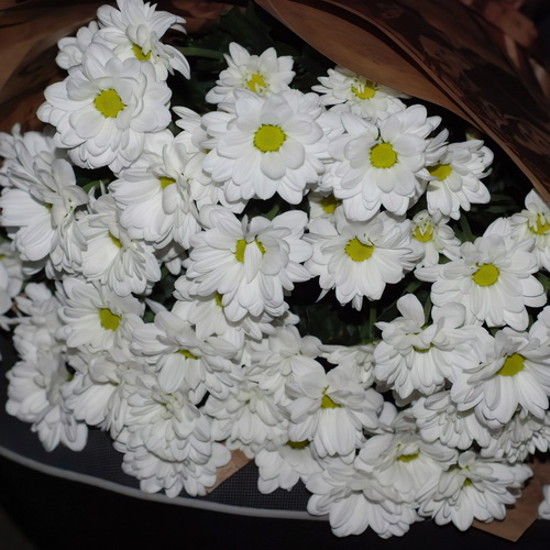 Букет Сто ромашок фото