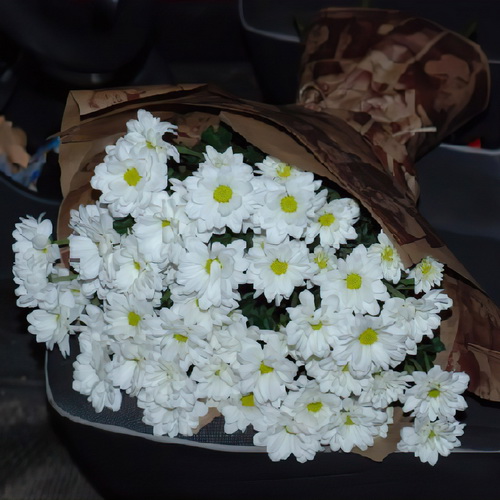 букет ромашкової хризантеми фото