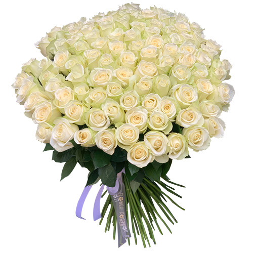 товар 101 біла троянда фото товара 101 біла троянда
