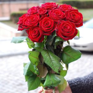 11 червоних троянд