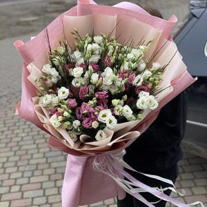 51 эустома