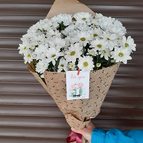 Букет Ромашки фото