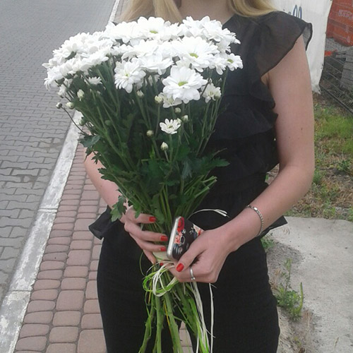 вручение букета ромашек фото