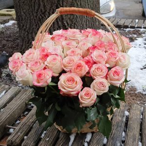 розовые розы