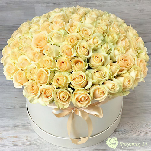 букет 101 кремовая роза в шляпной коробке фото