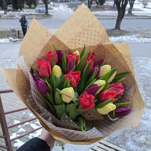 купить 25 тюльпанов