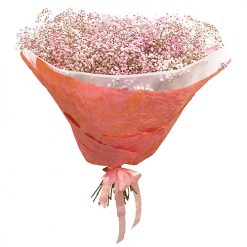 Фото товара Букет из гипсофилы "Нежное кружево" в Букет из гипсофилы "Нежное кружево"