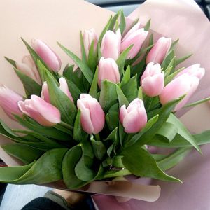 15 розовых тюльпанов фото