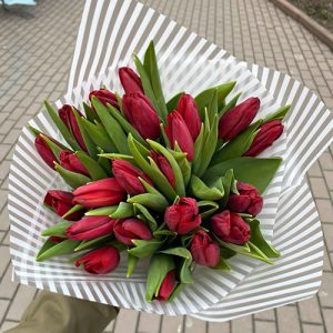 25 красных тюльпанов фото