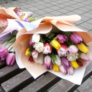 букет 25 тюльпанів