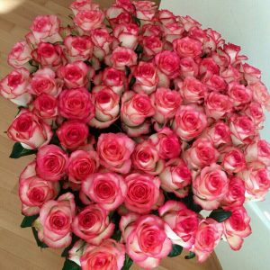 букет зі 101 рози сорту Джумілія