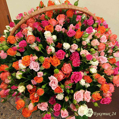 101 кустовая роза в корзине фото