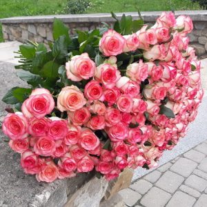 101 рожева роза Джумілія