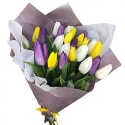 Товар «25 тюльпанів "Княгиня"» у 25 тюльпанів "Княгиня" | від «Букетик 24» Фото товару 25 тюльпанів "Княгиня" у 25 тюльпанів "Княгиня"