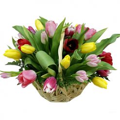 Товар «25 тюльпанів мікс у кошику» у 25 тюльпанів мікс у кошику | від «Букетик 24» Фото товару 25 тюльпанів мікс у кошику у 25 тюльпанів мікс у кошику