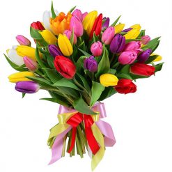 Фото товара 35 тюльпанов "Радужный микс" с лентой в 35 тюльпанов "Радужный микс" с лентой
