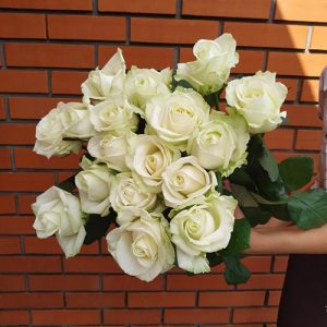 белые розы фото букета