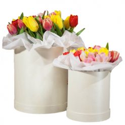 Фото товару Подарунок "Дві зірки" у Подарунок "Дві зірки"