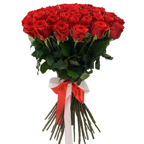 💳 Купить 33 красные розы за 2880 грн. | «Букетик 24» - мы доставляем эмоции