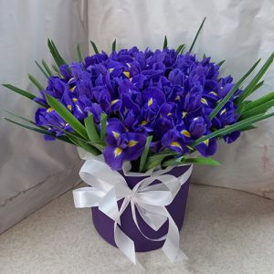 51 ирис в коробке 