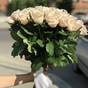 51 кремовая роза