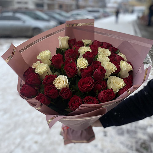 51 червоно-біла троянда