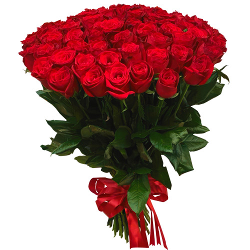 товар 51 красная роза фото товара 51 красная роза