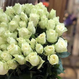 Белые импортные розы фото