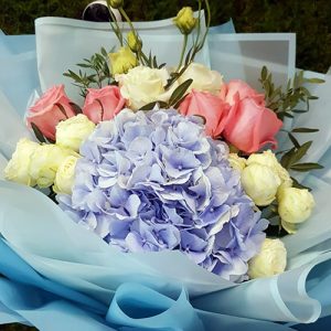 розы и гортензия фото