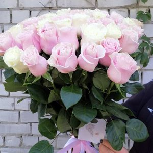 розовые импортные розы фото