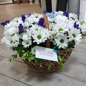 хризантемы бакарди в корзине