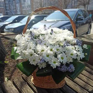 корзинка с хризантемами - цветочная поляна