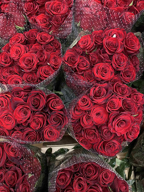 красные розы в пачках