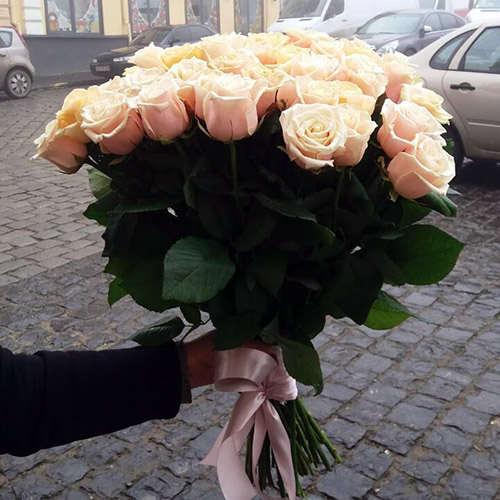 кремовые розы фото