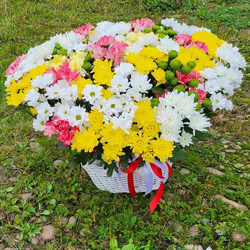 фото товара большая корзина хризантем ко дню рождения