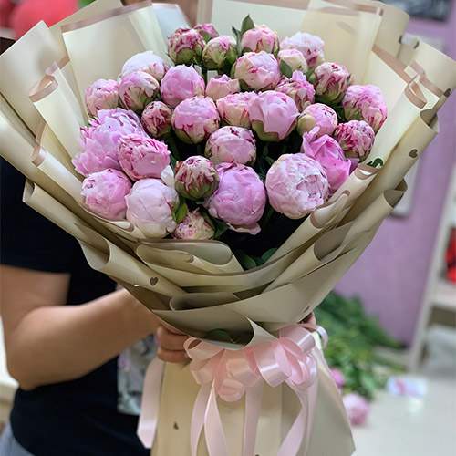 категория товаров Пионы | «Букетик 24»